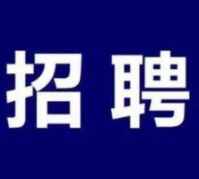 有编！郴州这个地方公开招聘教师303人，仅面试！