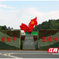沙洲日记 | 人人为沙洲，红色初心永不忘