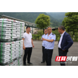 保靖县多措并举惠企利民 增强企业获得感