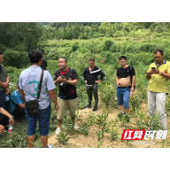 脱贫攻坚促发展，税务力量勇担当——永顺县税务局车溪村扶贫侧记