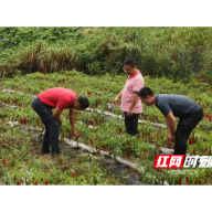 长沙市天心区对口帮扶工作队：离别，但永远不会忘记