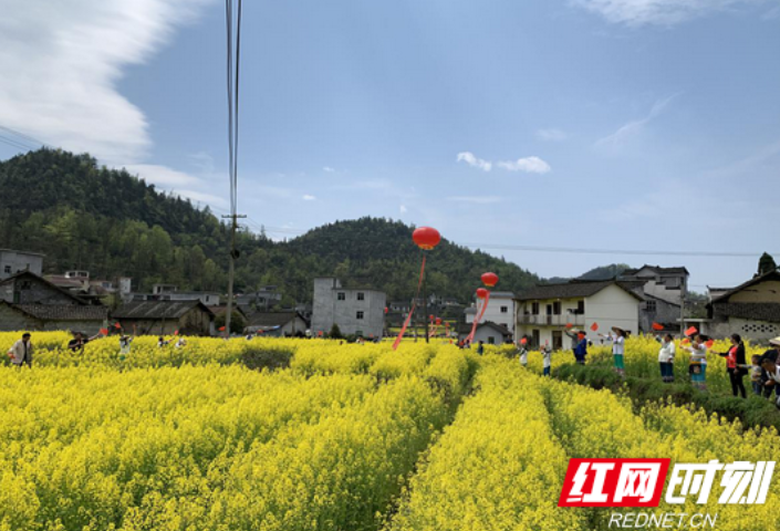 矮寨不矮 时代标高丨排兄村：发展乡村旅游 村民日子越过越红火