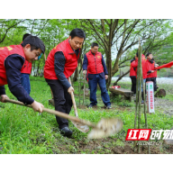 湘西州自然资源和规划局开展义务植树活动