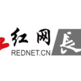 国家税务总局增值税发票数据显示：春节期间消费持续活跃 餐饮服务销售收入增长较快