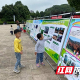 “松树癌症”知多少  长沙林业告诉你