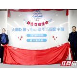 天心这块“高地”如何发展?政企大咖开启“群聊”模式