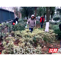 清扫保洁护蓝天 干干净净迎新年