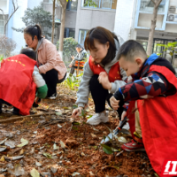 志愿植树让春意更浓 大手牵小手共同提高生态环保意识