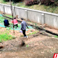 凝聚网格力量 共迎广厦“新绿”