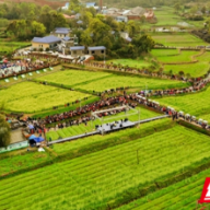 国字号“智囊团”汇聚宁乡，点赞“陈家桥模式”