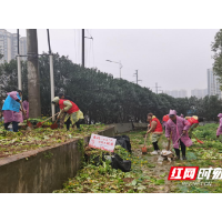 “网格化+铁脚板”助力环境大提质 