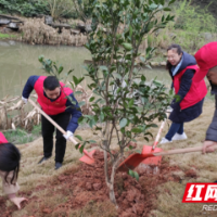 河岸增绿添彩 绘浓生态“底色”