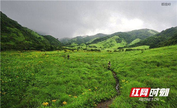 月岩林场都庞岭——江永县造林科供图。