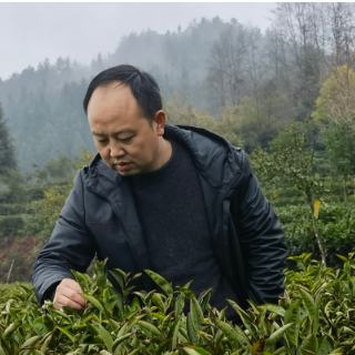 退役军人“每日一星”丨向敬晖：把人生“种”在千亩茶园