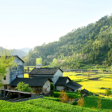 别打农村宅基地的“歪主意”