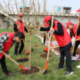 长沙市住建行政执法局开展义务植树活动