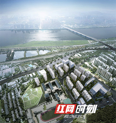 截屏2021-05-31 下午2.05.23.jpg