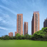 岳阳、常德房贷利率或将进一步下降