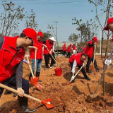 种下一片“雷锋林”!长沙住建执法“螺丝钉”志愿服务队开展植树造林活动