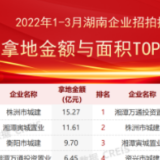 2022年一季度湖南省拿地“绝对主力”原来是这样