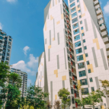 福建出台“促消费”十条举措：全力支持居民首套和改善性住房需求