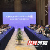 激活创新动能!湖南省园区产业发展研讨会在长沙举行