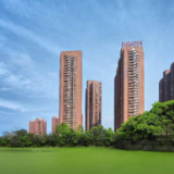 大王山上线低密住宅地块