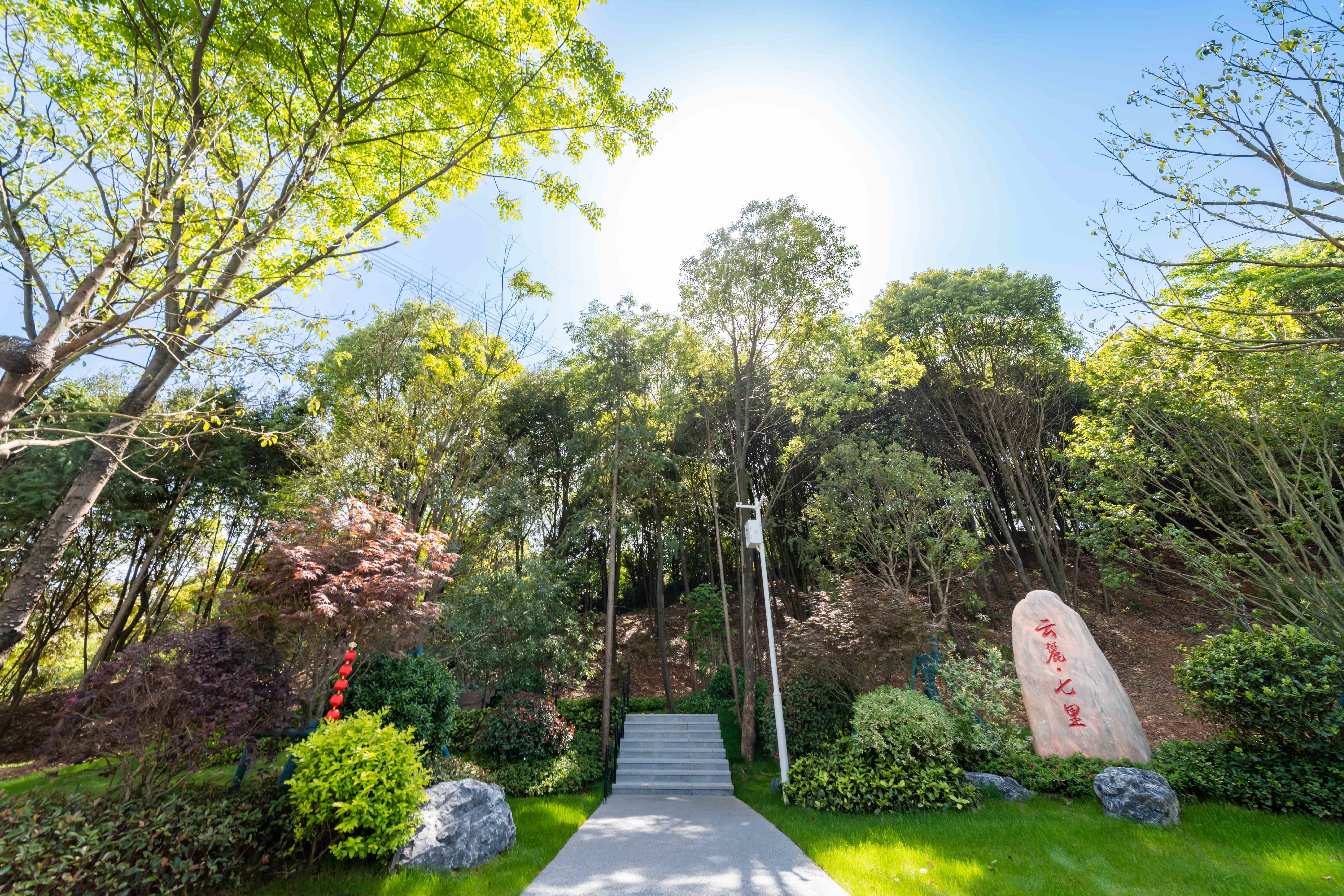 麓隐·青竹湖|8000亩太阳山公园 开启不一样的童年