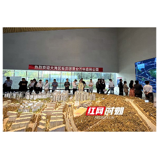 楼市众生态③｜限购优化后首个周末，长沙有楼盘一天成交量抵一周