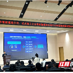 数字化赋能高质量发展 加快形成具有长沙特点的“新质生产力”