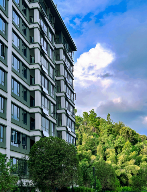 图片4.png 图片4.png