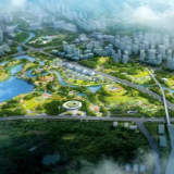 为城市“强筋健骨”增智慧