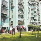 小区空地“彩旗飘飘” 干了衣服毁了草坪
