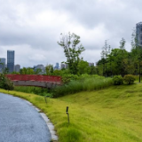 机构：6月百城新建住宅销售均价同比上涨2.59%