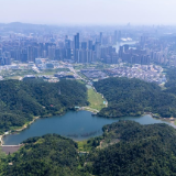 《住房租赁条例》正式发布 筑牢“租购并举”基石