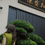 京盛和府·上瑞府｜35栋新品即将加推 恭迎品鉴