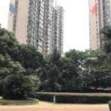 租客：中介出租房屋应提供空气质量检测报告