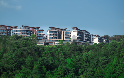 专题｜南山天岳 万山朝岳人为峰