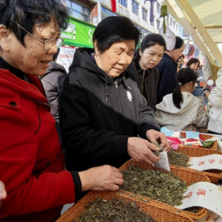 古汉潮玩养生市集常德站精彩落幕