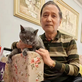 萌萌哒|我家猫咪黏人又懂事