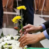“我”死后要花多少钱？殡葬服务收费“退烧”了吗？