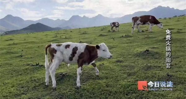 11月29日.png 11月29日.png