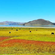 3280元起！氧博士旅游团带您零高反探秘西藏全景