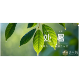 2025年8月23日·处暑节气|漫画揭秘“保险领域”非法集资