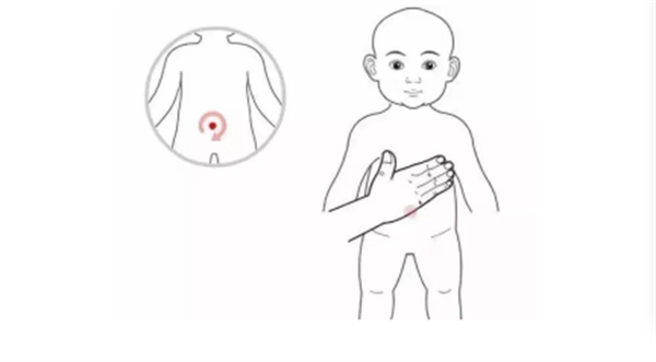 微信图片_2026-02-15_112326_769.png 微信图片_2026-02-15_112326_769.png