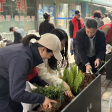 黄泥岭社区植树节开展花箱认领活动，绘就生态共治新图景