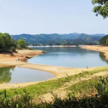 叶飘零|清明风起时