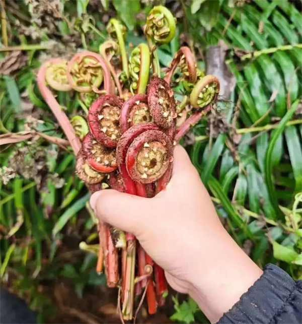 640 (2).jpg 640 (2).jpg