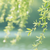 清明将至,勿制售、购买“人民币版”冥币!出游、就餐注意啥?省消保委提醒来啦