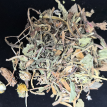 常用中药100味|蒲公英：被誉为“天然抗生素”的清热解毒良药